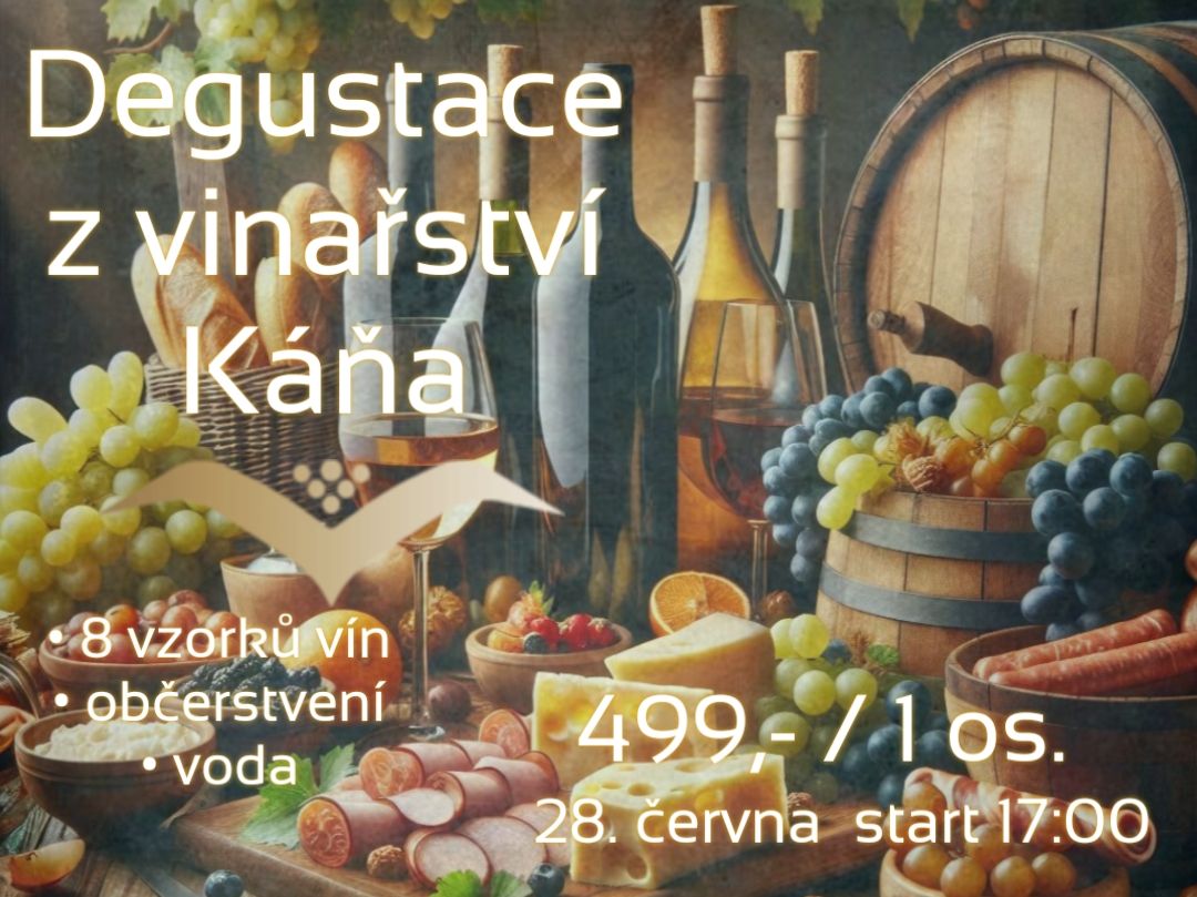 domácí limonády