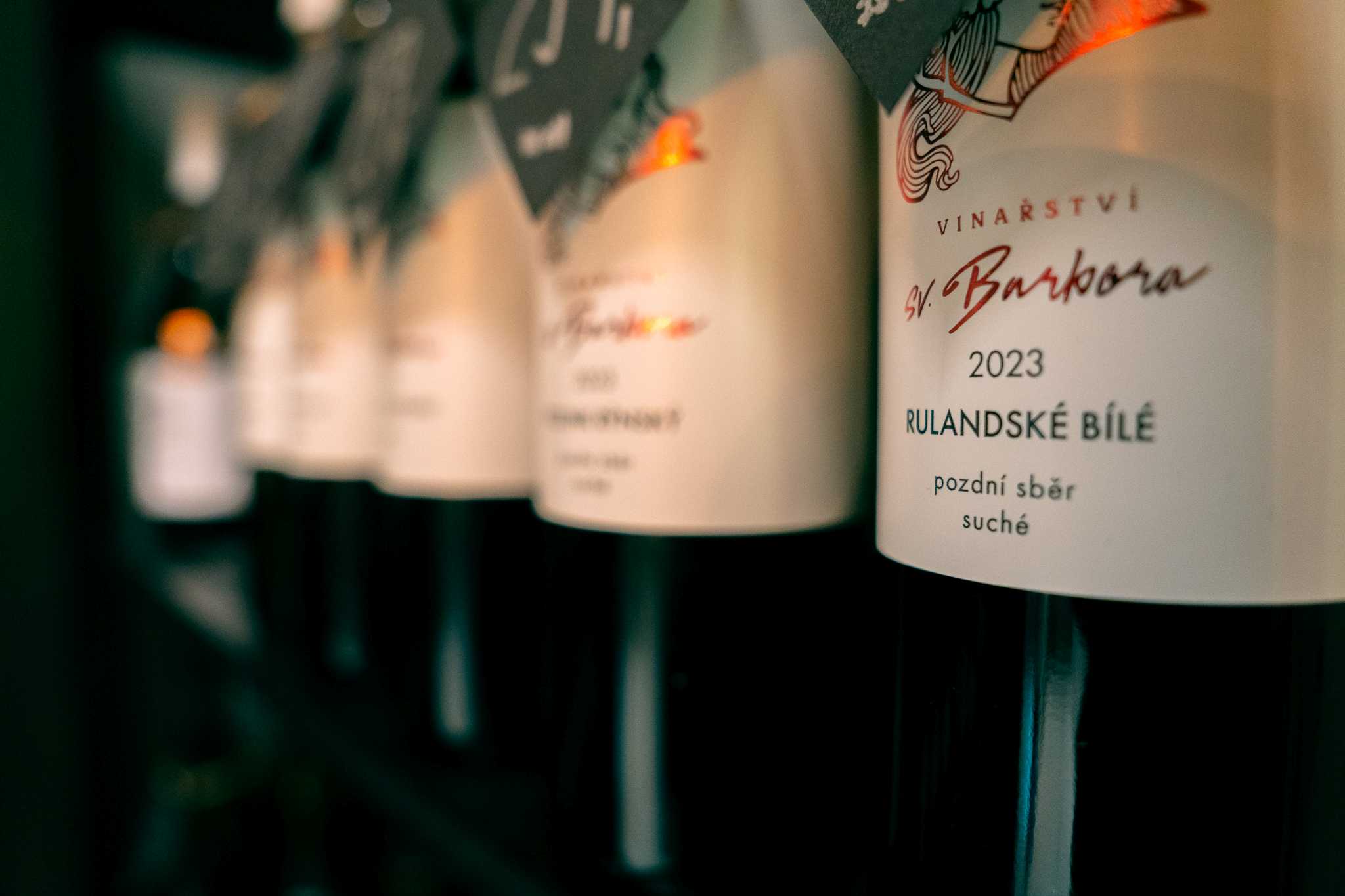 Портрет человека